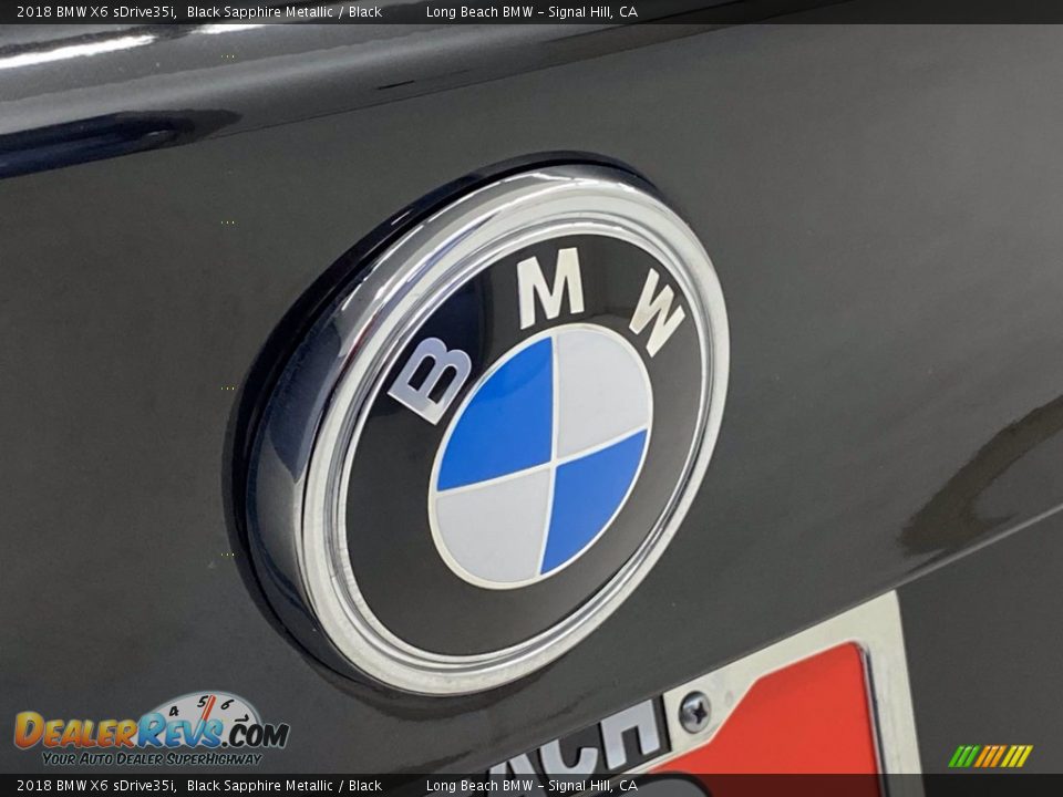 2018 BMW X6 sDrive35i Black Sapphire Metallic / Black Photo #10