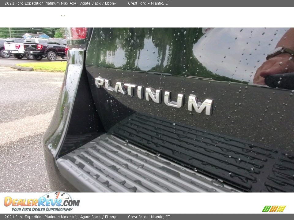 2021 Ford Expedition Platinum Max 4x4 Logo Photo #9