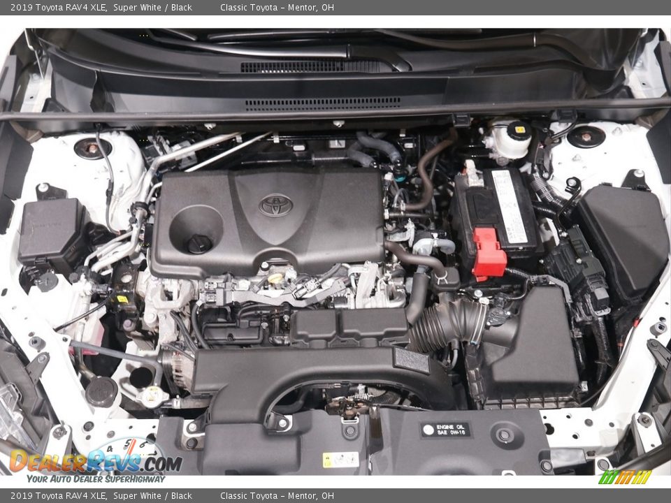 2019 Toyota RAV4 XLE Super White / Black Photo #17