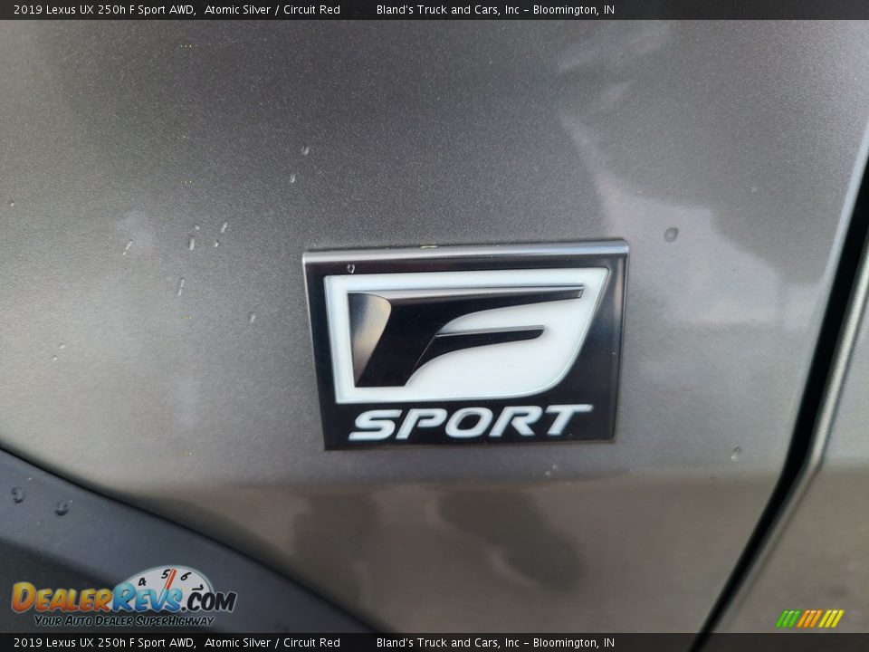 2019 Lexus UX 250h F Sport AWD Logo Photo #3