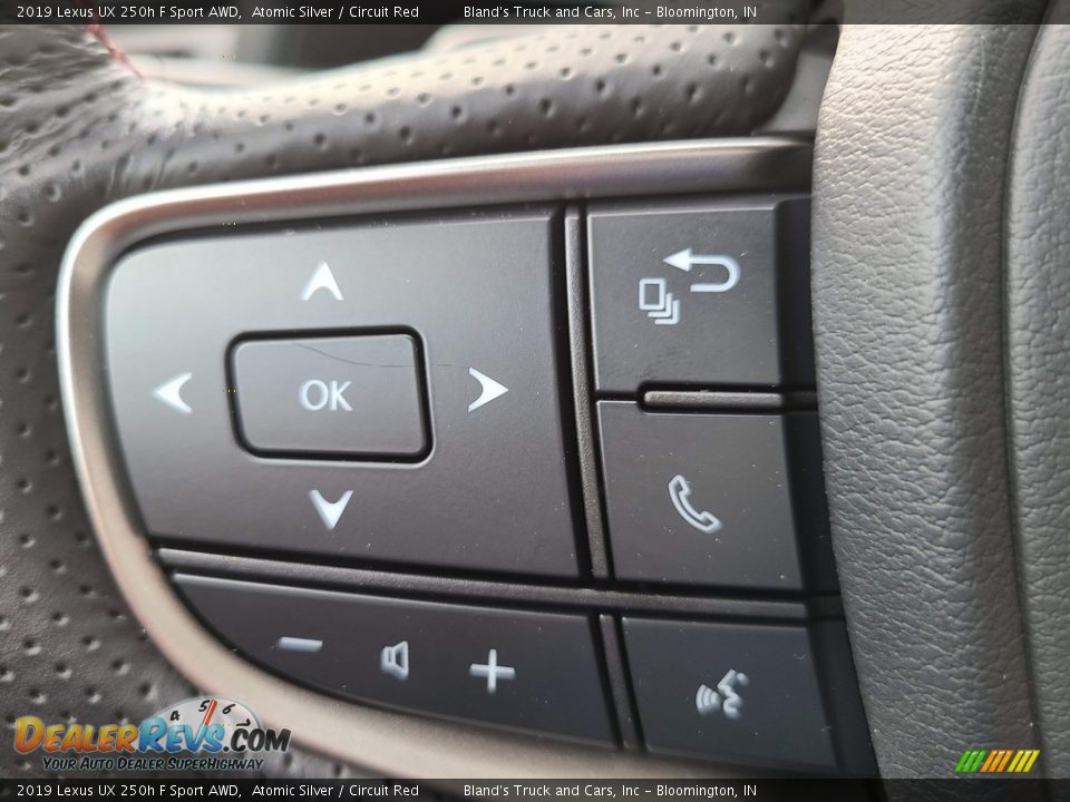 2019 Lexus UX 250h F Sport AWD Steering Wheel Photo #14