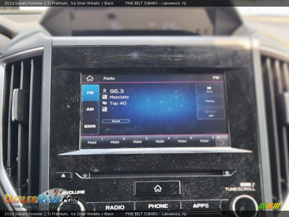 2019 Subaru Forester 2.5i Premium Ice Silver Metallic / Black Photo #6