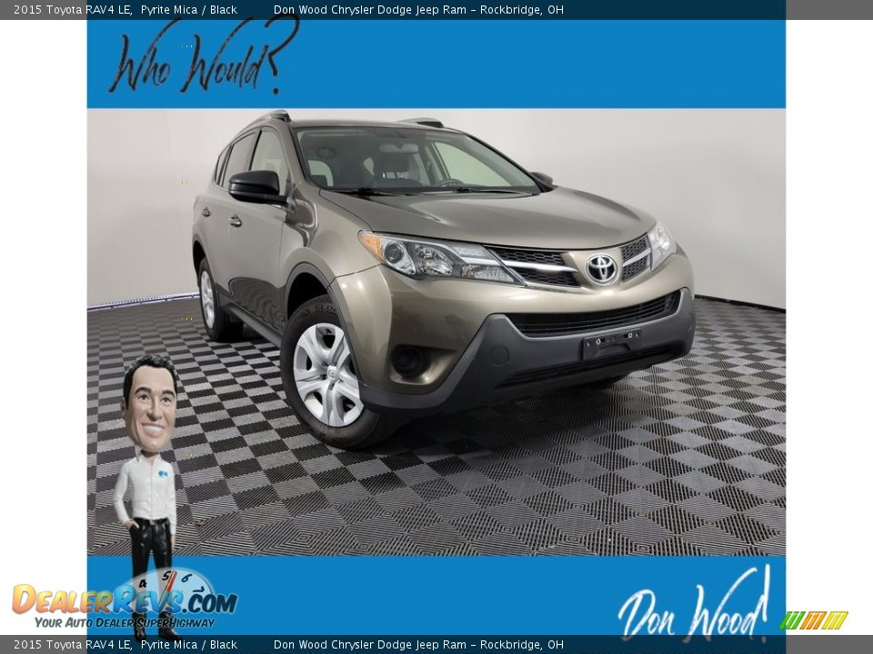 2015 Toyota RAV4 LE Pyrite Mica / Black Photo #1