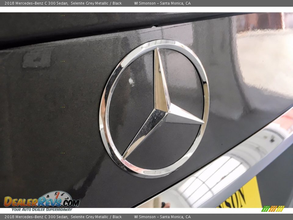 2018 Mercedes-Benz C 300 Sedan Selenite Grey Metallic / Black Photo #28
