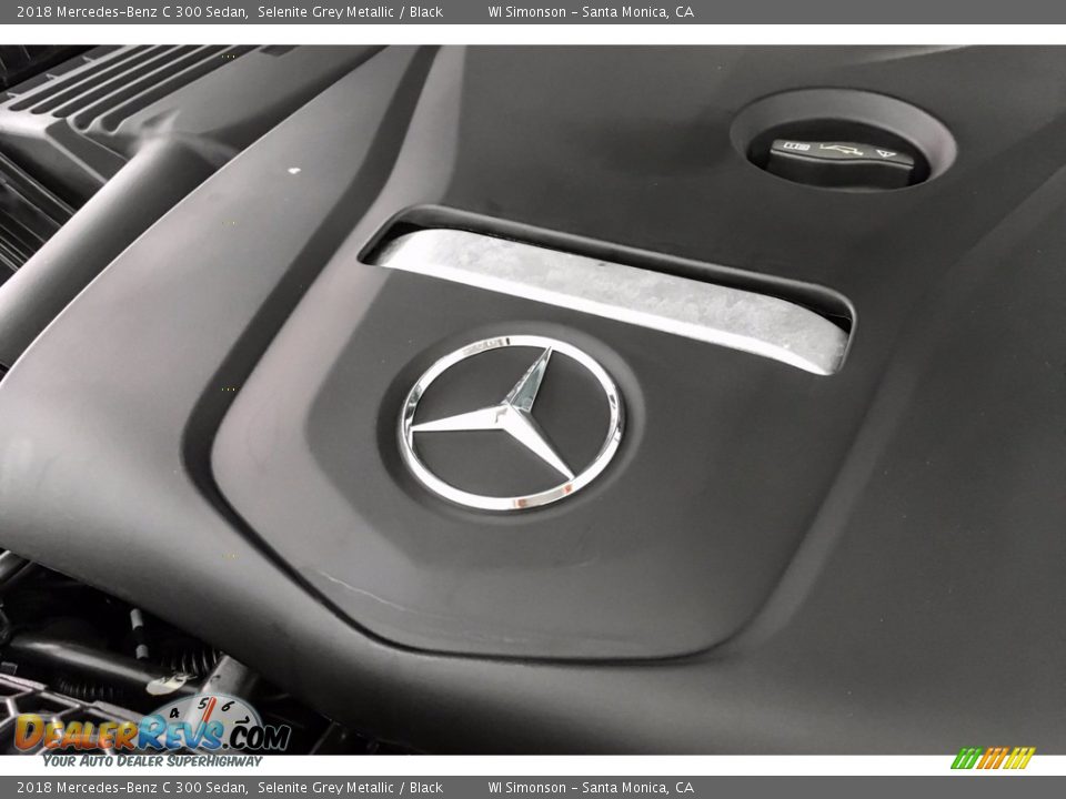 2018 Mercedes-Benz C 300 Sedan Selenite Grey Metallic / Black Photo #32