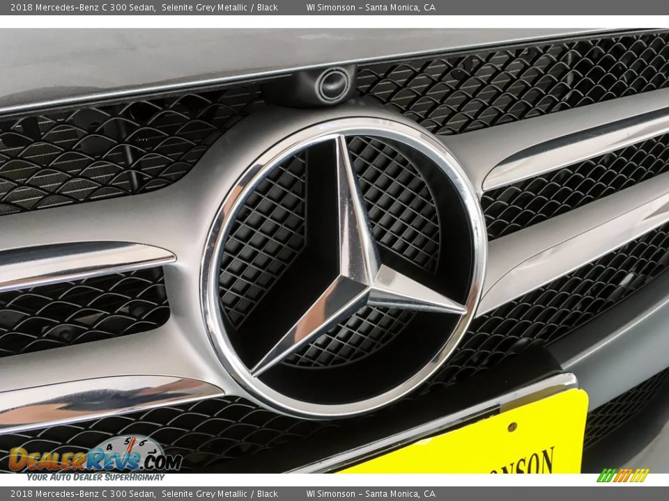 2018 Mercedes-Benz C 300 Sedan Selenite Grey Metallic / Black Photo #34
