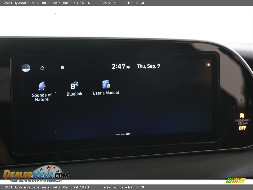 2021 Hyundai Palisade Limited AWD Rainforest / Black Photo #11