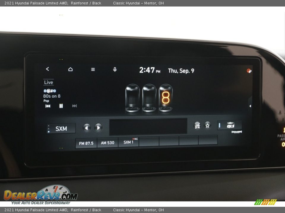 2021 Hyundai Palisade Limited AWD Rainforest / Black Photo #13