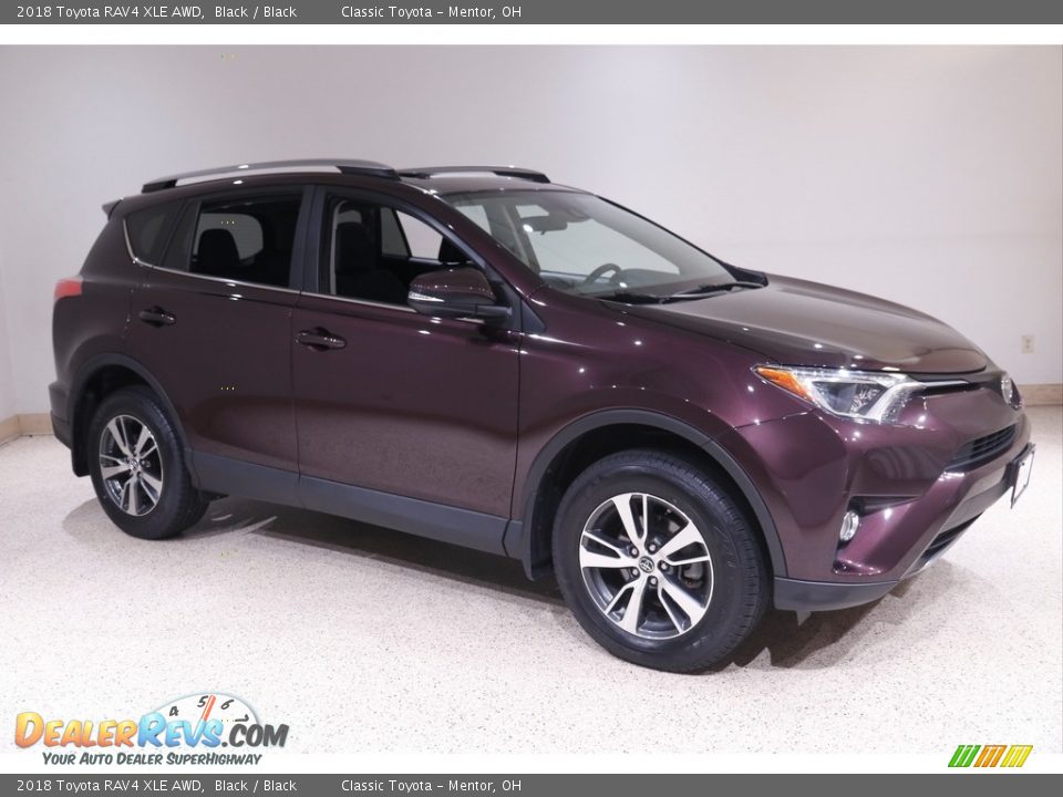 2018 Toyota RAV4 XLE AWD Black / Black Photo #1