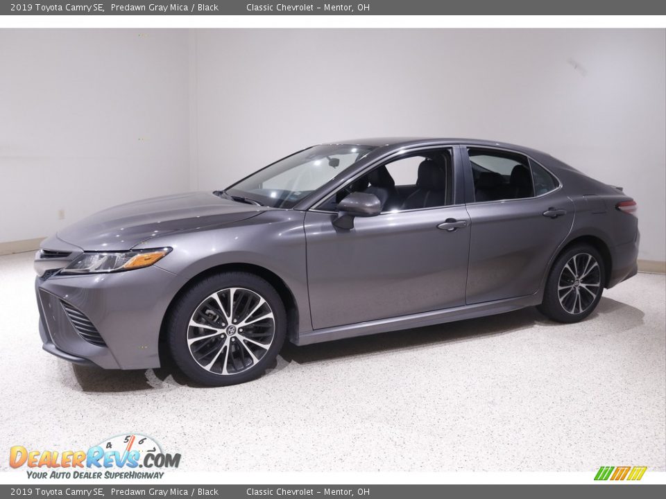 2019 Toyota Camry SE Predawn Gray Mica / Black Photo #3