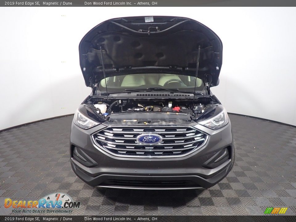 2019 Ford Edge SE Magnetic / Dune Photo #6