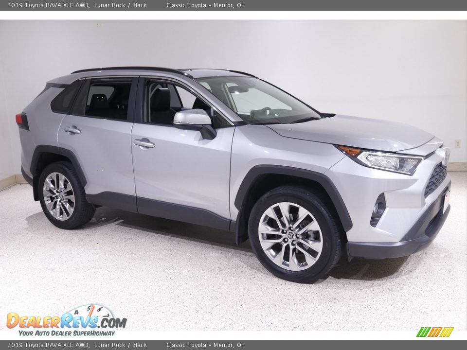 2019 Toyota RAV4 XLE AWD Lunar Rock / Black Photo #1