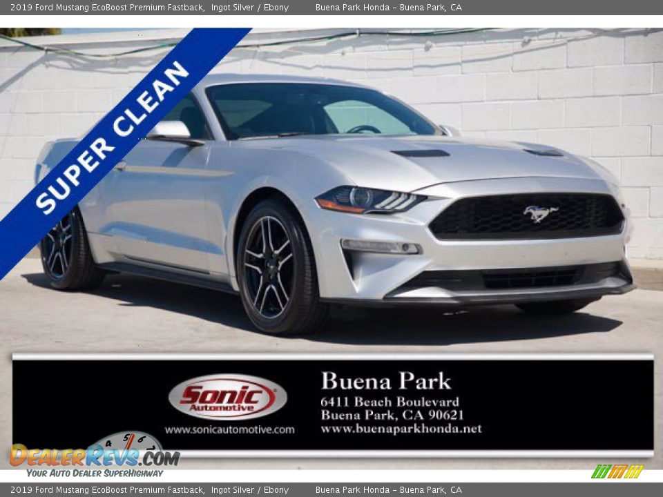 2019 Ford Mustang EcoBoost Premium Fastback Ingot Silver / Ebony Photo #1