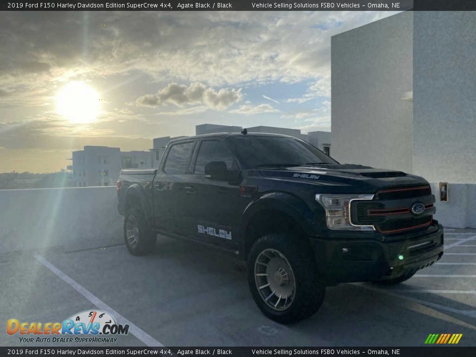 Agate Black 2019 Ford F150 Harley Davidson Edition SuperCrew 4x4 Photo #10