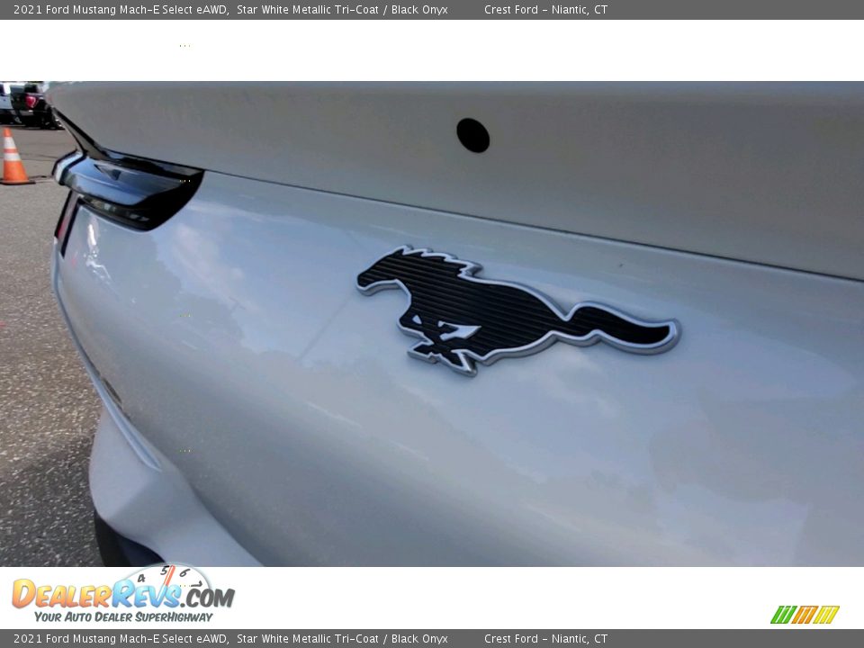 2021 Ford Mustang Mach-E Select eAWD Logo Photo #9