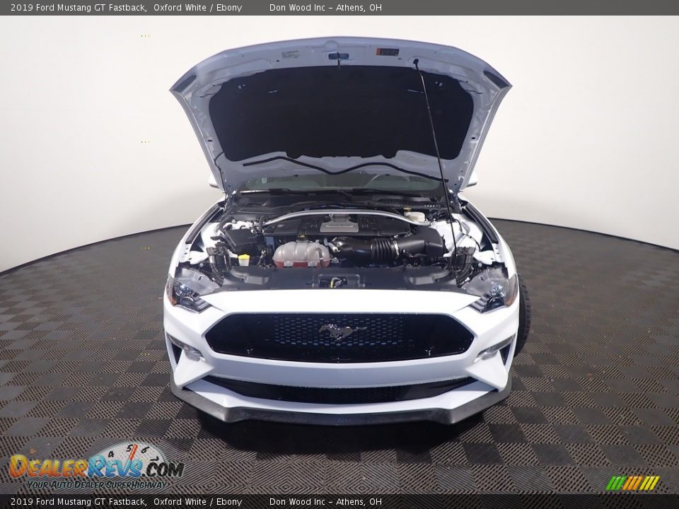 2019 Ford Mustang GT Fastback Oxford White / Ebony Photo #6