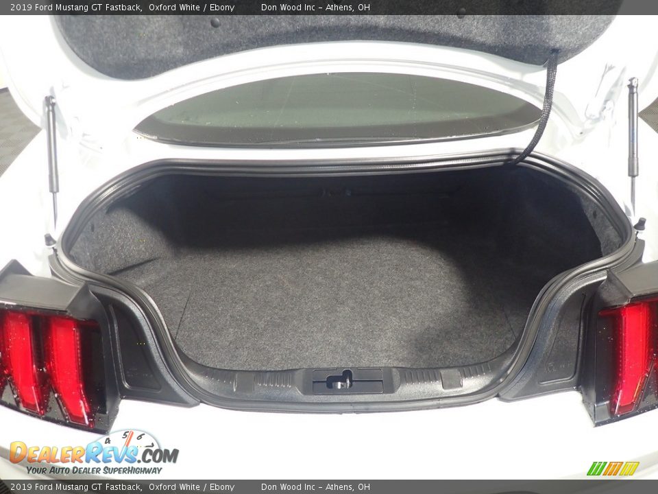 2019 Ford Mustang GT Fastback Oxford White / Ebony Photo #13