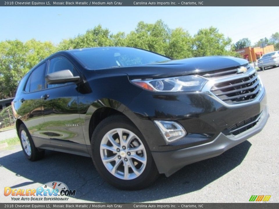 2018 Chevrolet Equinox LS Mosaic Black Metallic / Medium Ash Gray Photo #1