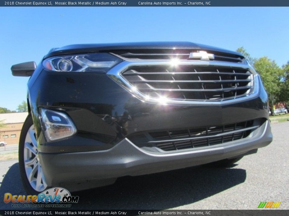 2018 Chevrolet Equinox LS Mosaic Black Metallic / Medium Ash Gray Photo #2