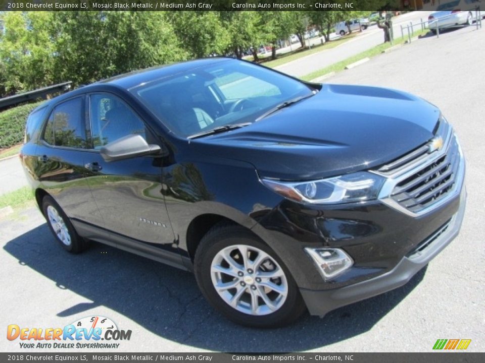 2018 Chevrolet Equinox LS Mosaic Black Metallic / Medium Ash Gray Photo #3