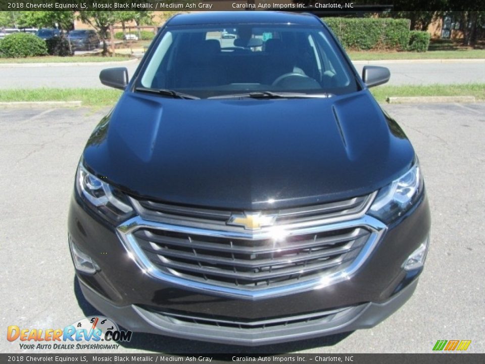 2018 Chevrolet Equinox LS Mosaic Black Metallic / Medium Ash Gray Photo #5
