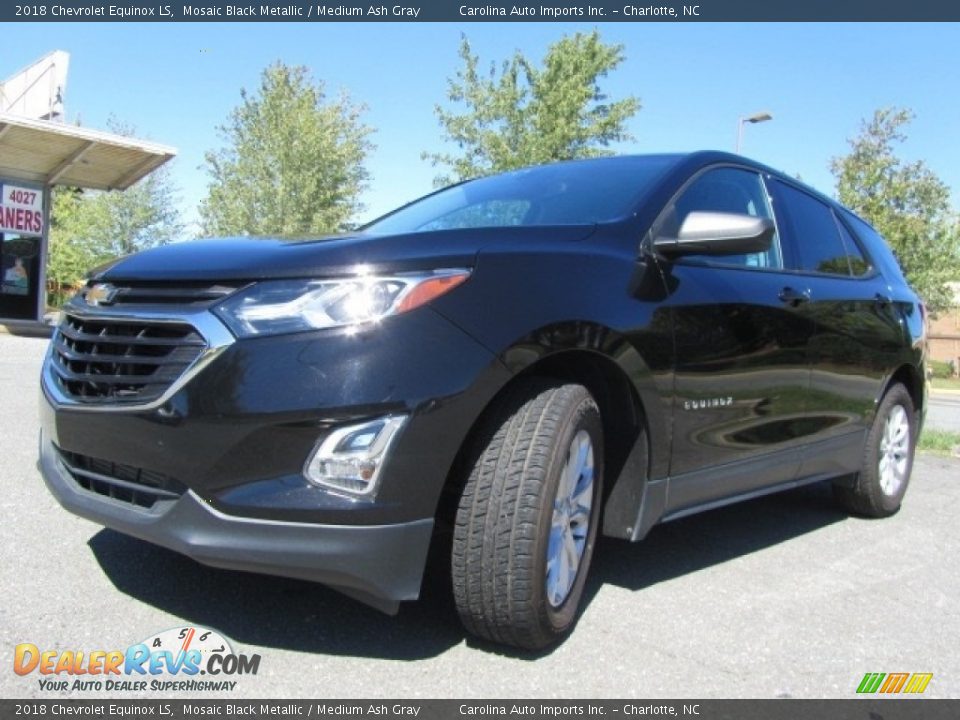 2018 Chevrolet Equinox LS Mosaic Black Metallic / Medium Ash Gray Photo #6