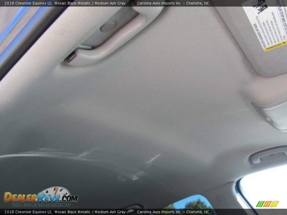 2018 Chevrolet Equinox LS Mosaic Black Metallic / Medium Ash Gray Photo #23
