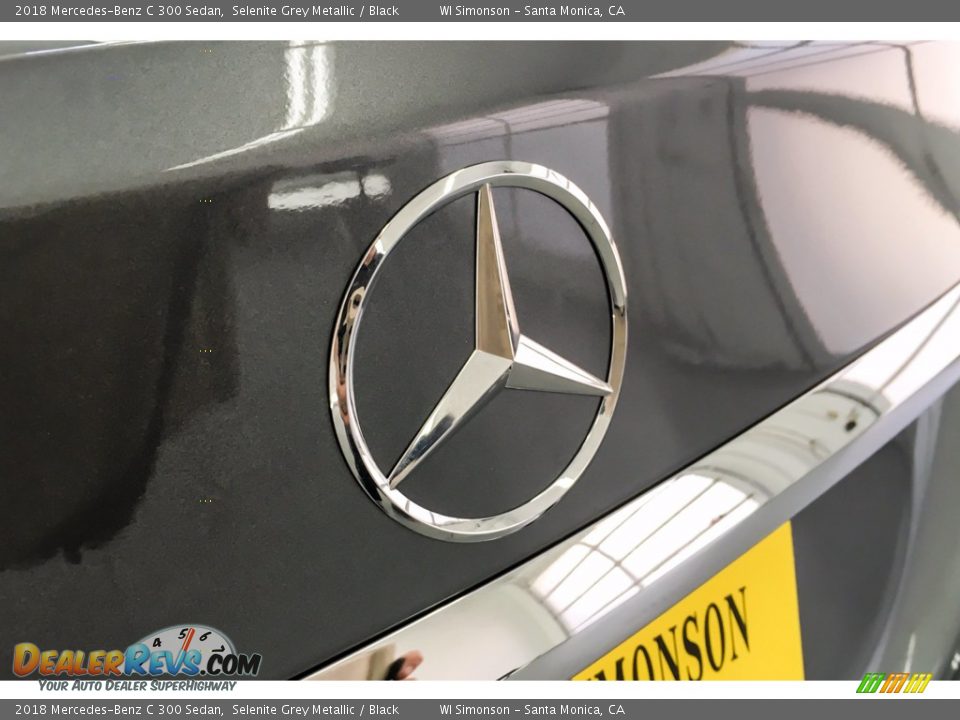 2018 Mercedes-Benz C 300 Sedan Selenite Grey Metallic / Black Photo #28