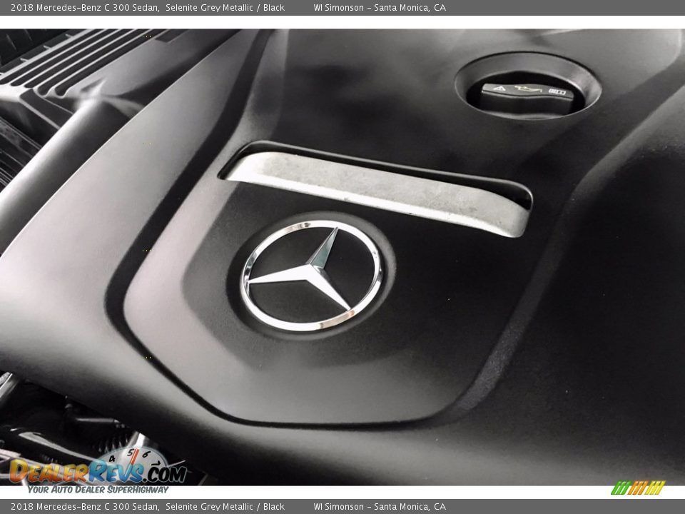 2018 Mercedes-Benz C 300 Sedan Selenite Grey Metallic / Black Photo #32