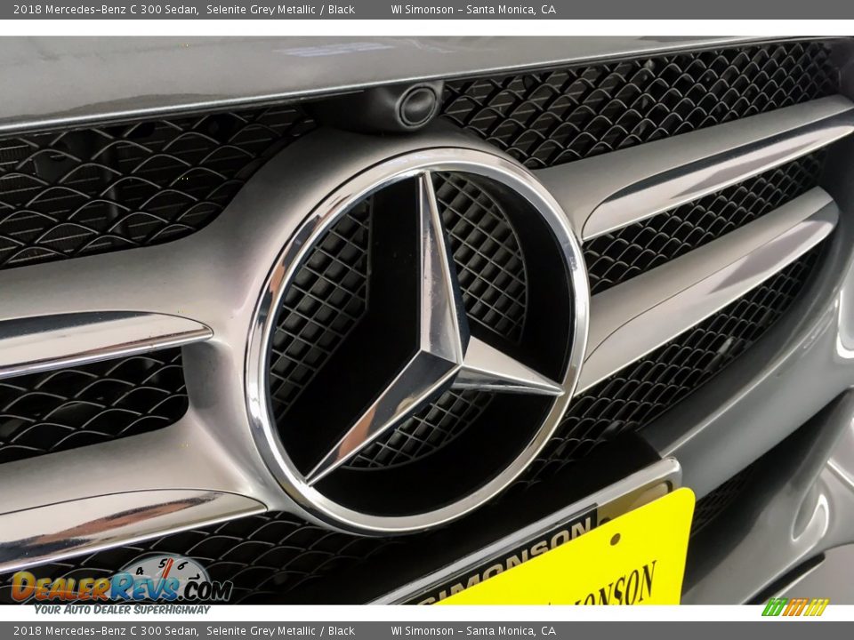 2018 Mercedes-Benz C 300 Sedan Selenite Grey Metallic / Black Photo #34