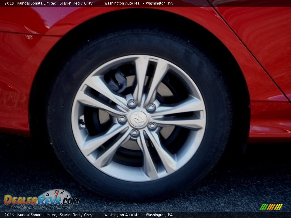 2019 Hyundai Sonata Limited Scarlet Red / Gray Photo #3
