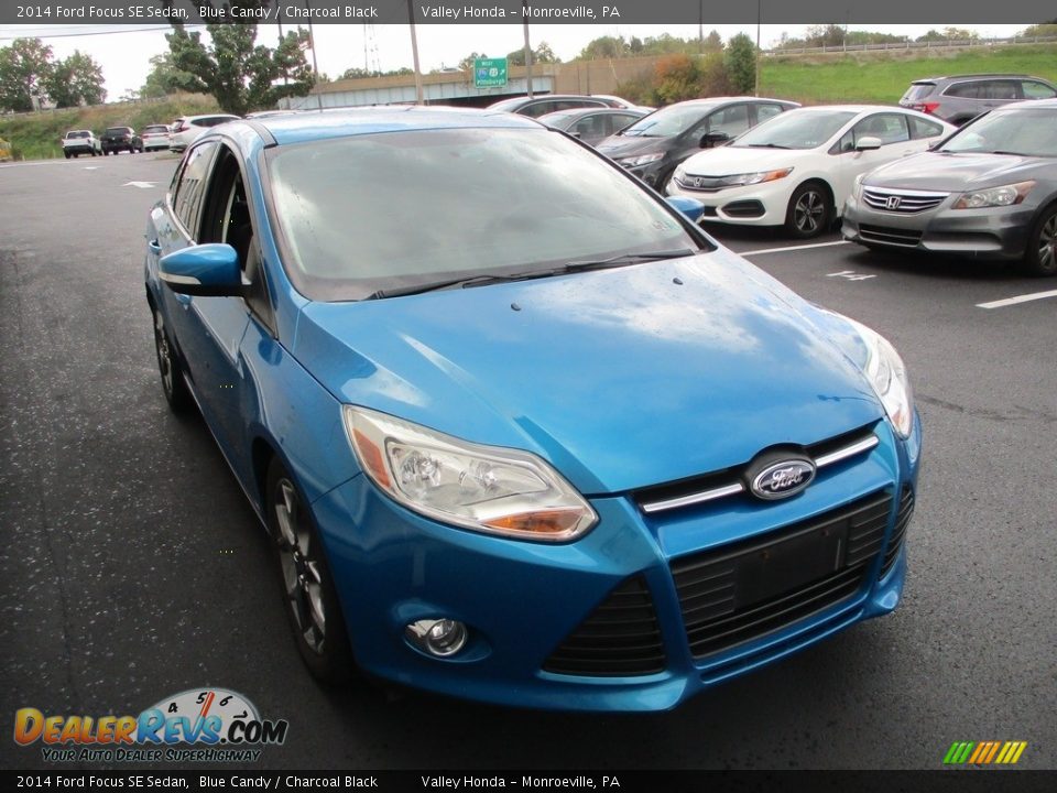 2014 Ford Focus SE Sedan Blue Candy / Charcoal Black Photo #8