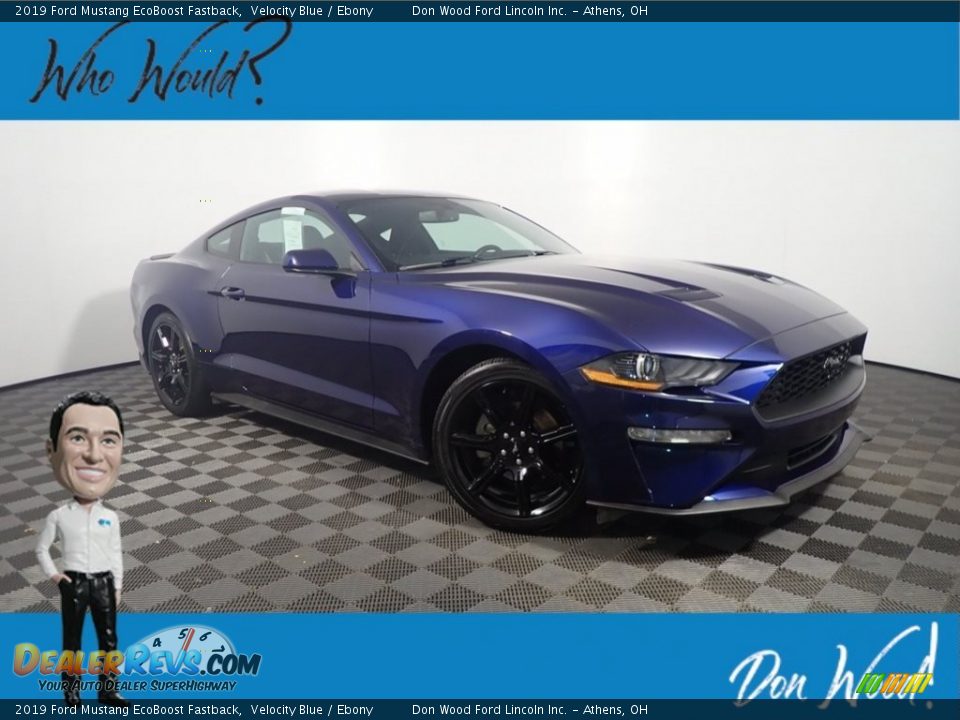 2019 Ford Mustang EcoBoost Fastback Velocity Blue / Ebony Photo #1