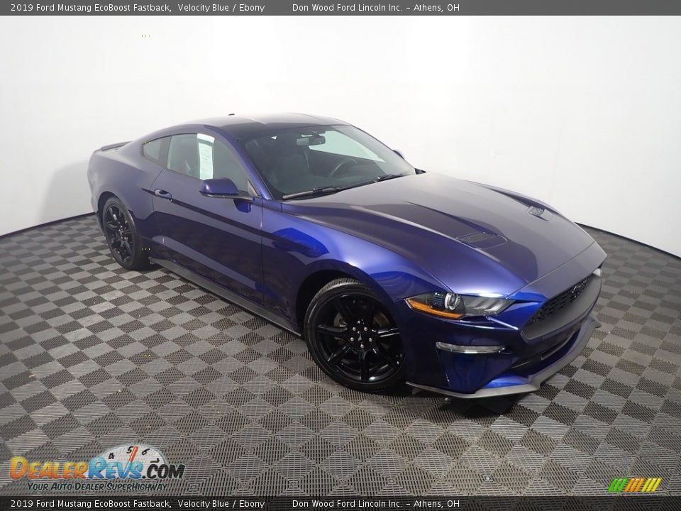 2019 Ford Mustang EcoBoost Fastback Velocity Blue / Ebony Photo #3