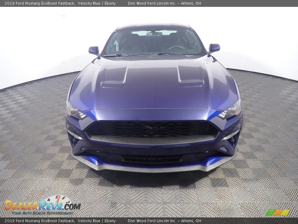 2019 Ford Mustang EcoBoost Fastback Velocity Blue / Ebony Photo #5