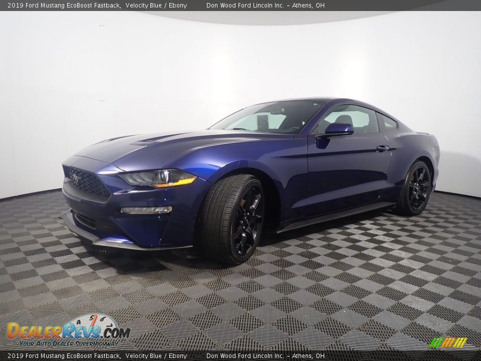 2019 Ford Mustang EcoBoost Fastback Velocity Blue / Ebony Photo #9