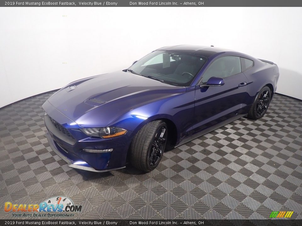 2019 Ford Mustang EcoBoost Fastback Velocity Blue / Ebony Photo #10