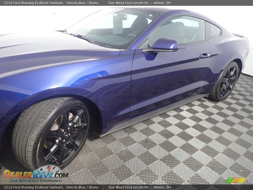 2019 Ford Mustang EcoBoost Fastback Velocity Blue / Ebony Photo #11