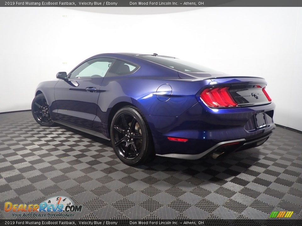 2019 Ford Mustang EcoBoost Fastback Velocity Blue / Ebony Photo #12