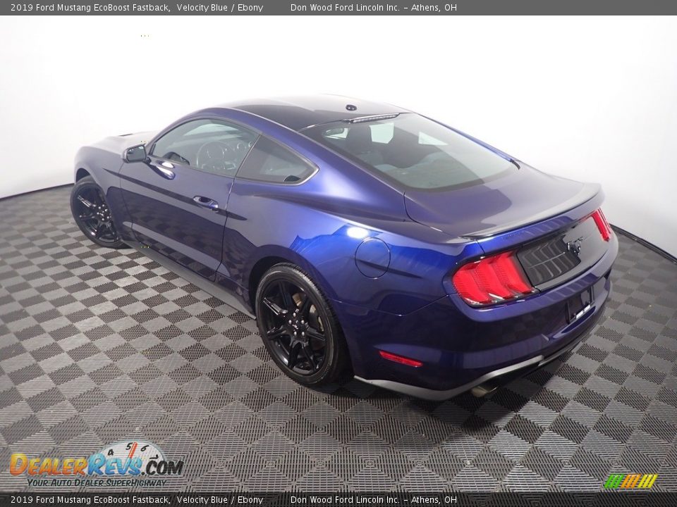 2019 Ford Mustang EcoBoost Fastback Velocity Blue / Ebony Photo #13