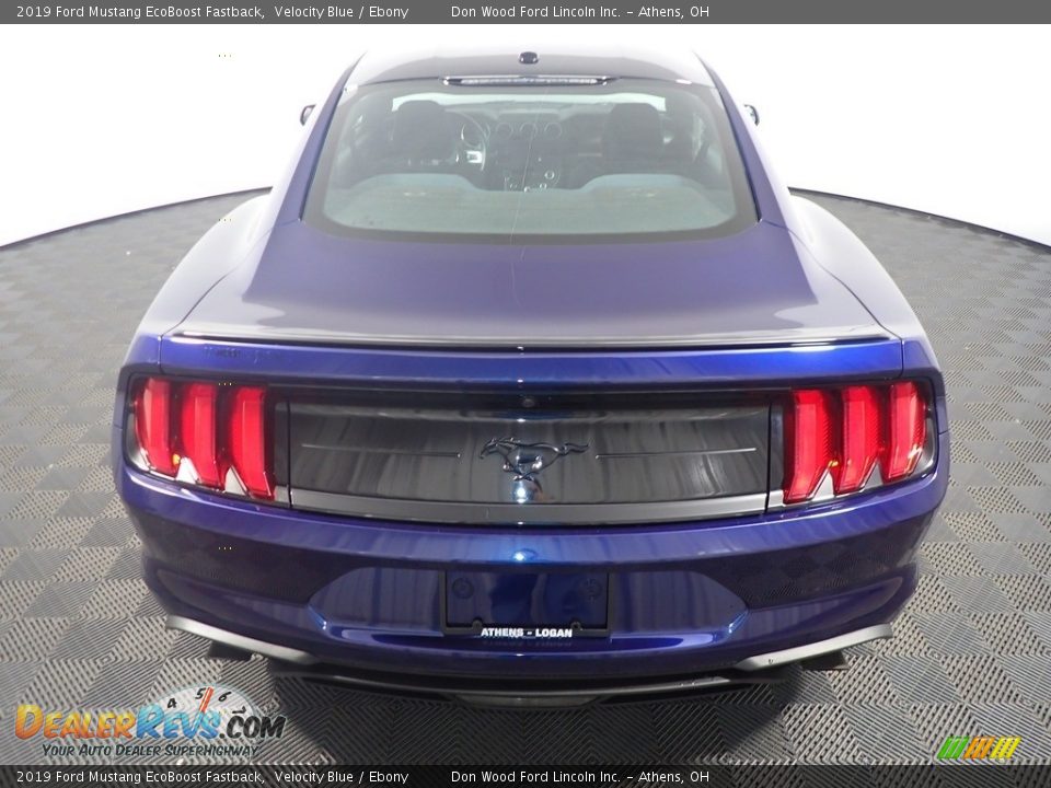 2019 Ford Mustang EcoBoost Fastback Velocity Blue / Ebony Photo #14