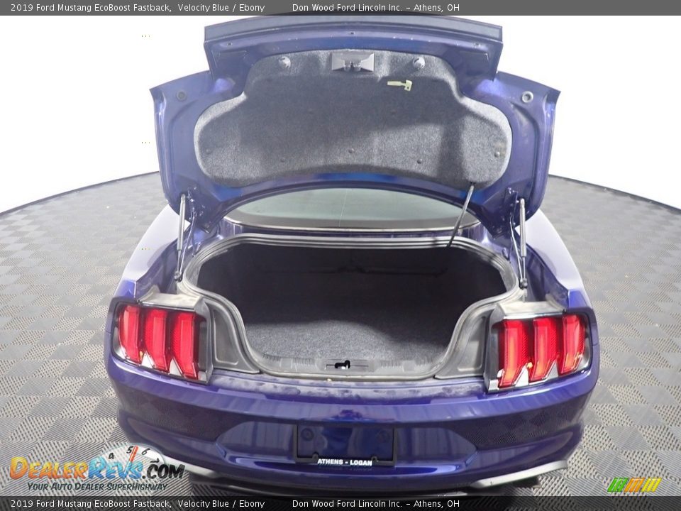 2019 Ford Mustang EcoBoost Fastback Velocity Blue / Ebony Photo #15