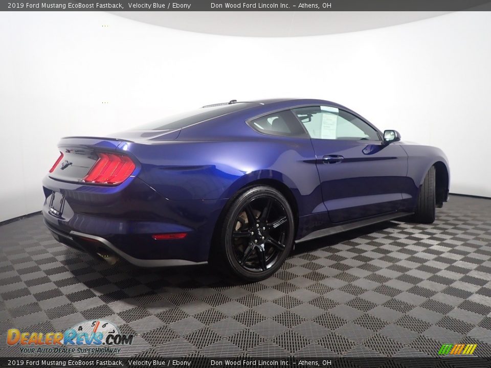 2019 Ford Mustang EcoBoost Fastback Velocity Blue / Ebony Photo #17