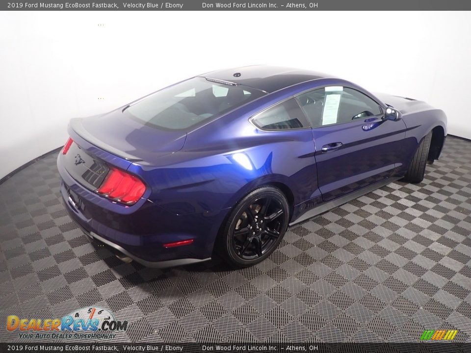 2019 Ford Mustang EcoBoost Fastback Velocity Blue / Ebony Photo #18