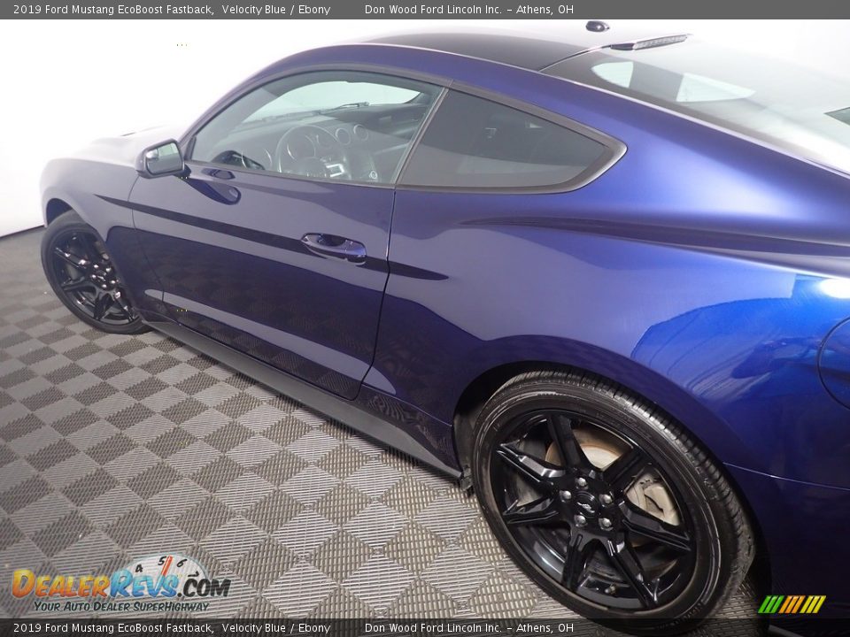 2019 Ford Mustang EcoBoost Fastback Velocity Blue / Ebony Photo #19