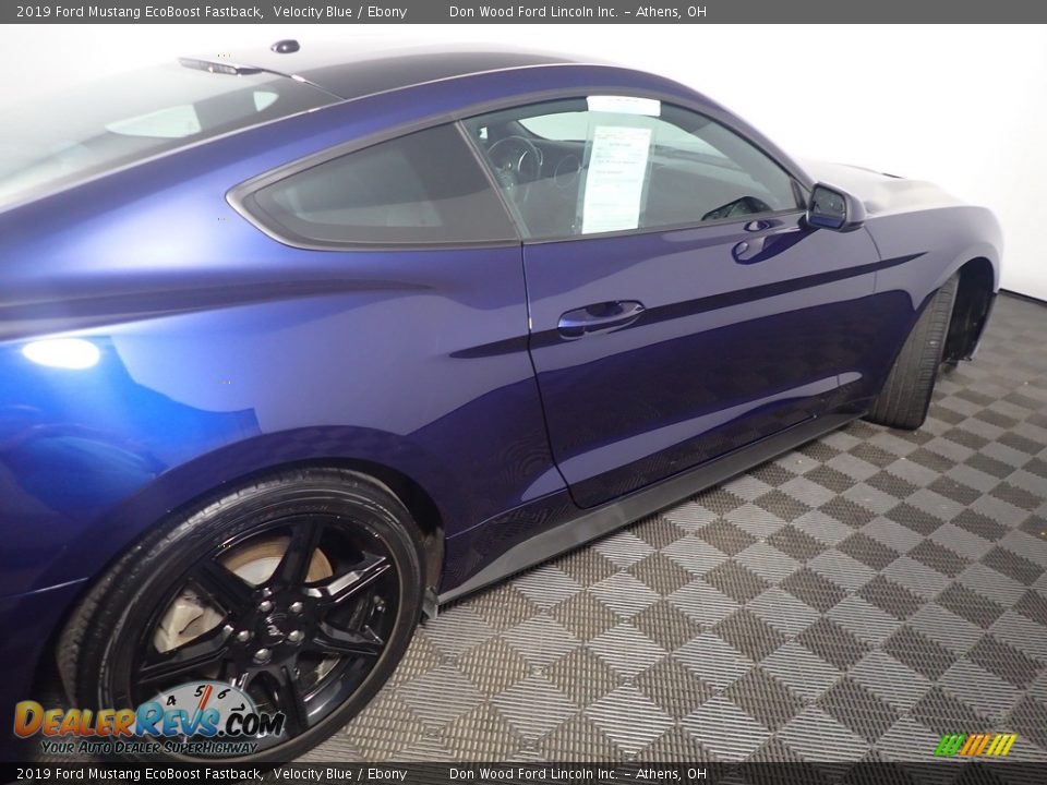 2019 Ford Mustang EcoBoost Fastback Velocity Blue / Ebony Photo #20