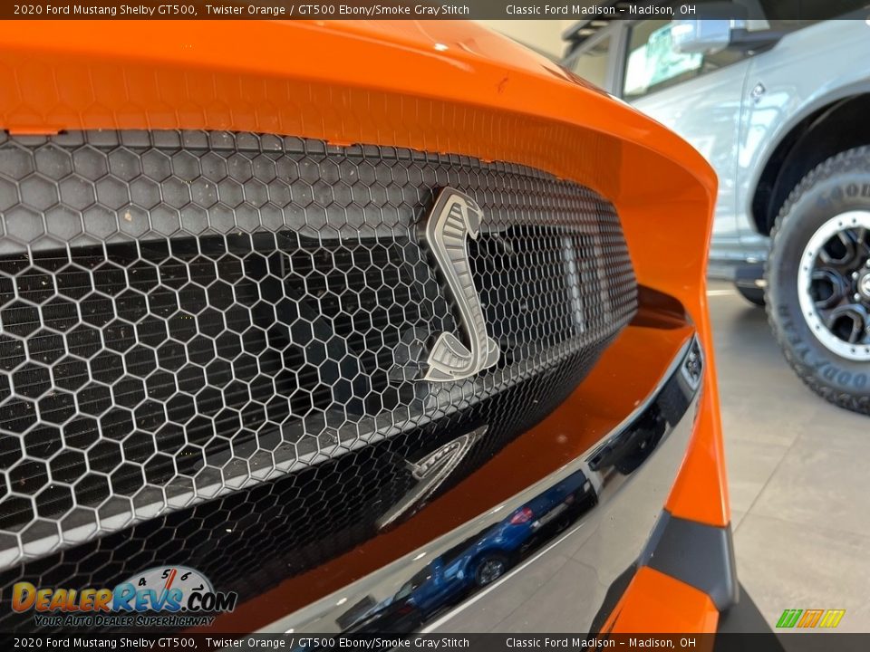 2020 Ford Mustang Shelby GT500 Logo Photo #9