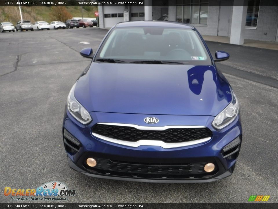 2019 Kia Forte LXS Sea Blue / Black Photo #4