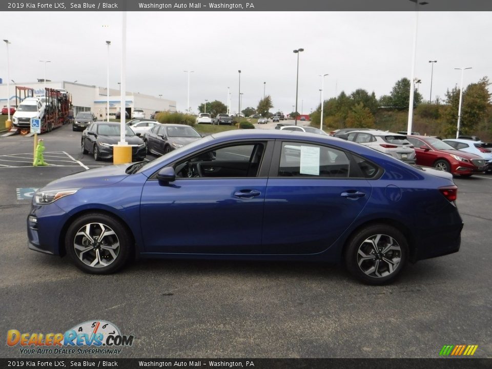 2019 Kia Forte LXS Sea Blue / Black Photo #6