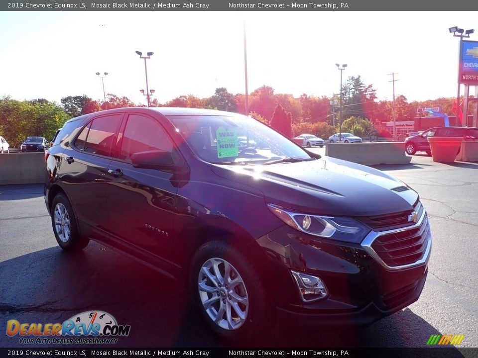 2019 Chevrolet Equinox LS Mosaic Black Metallic / Medium Ash Gray Photo #11